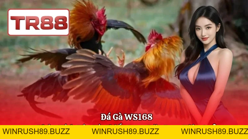 TR88 ⭐ Tận Hưởng Không Gian Casino Online Đẳng Cấp 2026