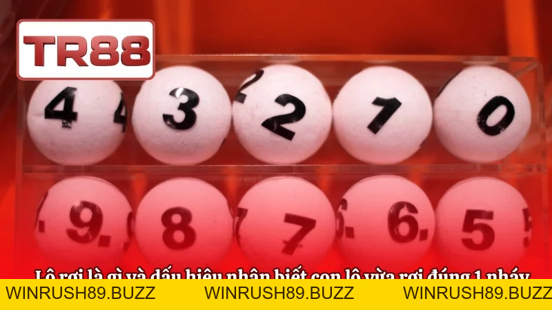 Lô Rơi Là Gì? Dấu Hiệu Nhận Biết Lô Rơi Chuẩn Cho Newbie