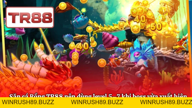 Săn Cá Rồng TR88 – Chiến Lược Hạ Boss Và Tối Ưu Lợi Nhuận