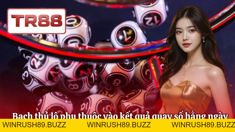 Bạch Thủ Lô Là Gì? Cách Chơi, Xác Suất Và Chiến Lược Tối Ưu